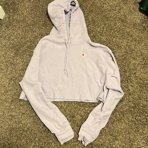 Champion Cropped Hoodie
